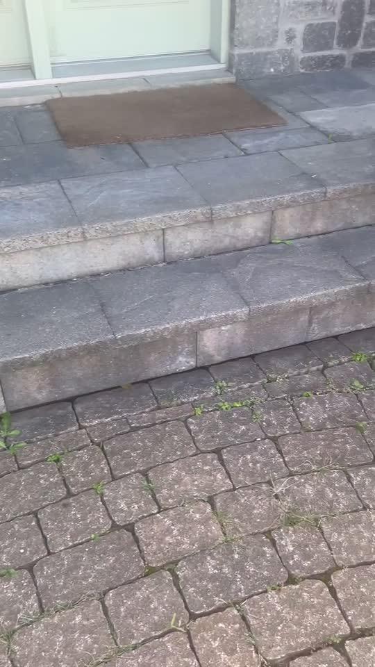 Entrance steps with weeds in the paver joints, before the job